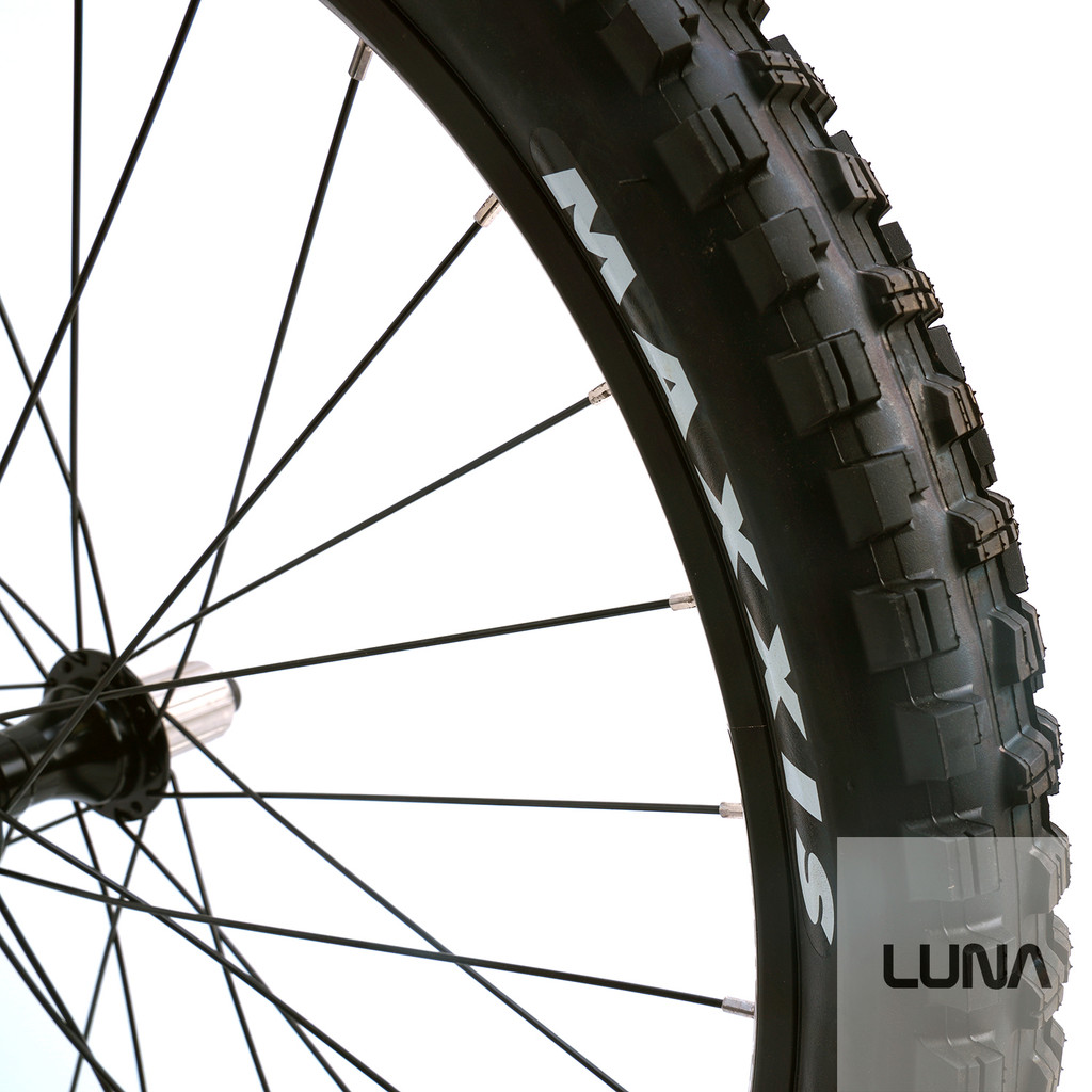 LUNA Enduro Replacement Wheel Assembly